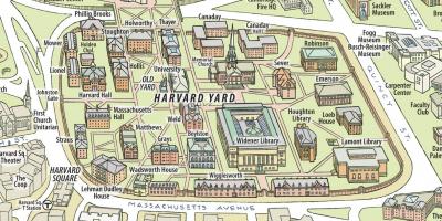 Harvard Üniversitesi Harita